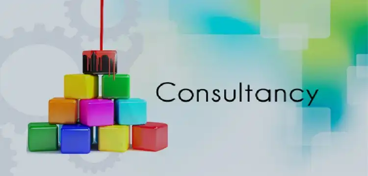 CONSULTANCY/PROJECTS